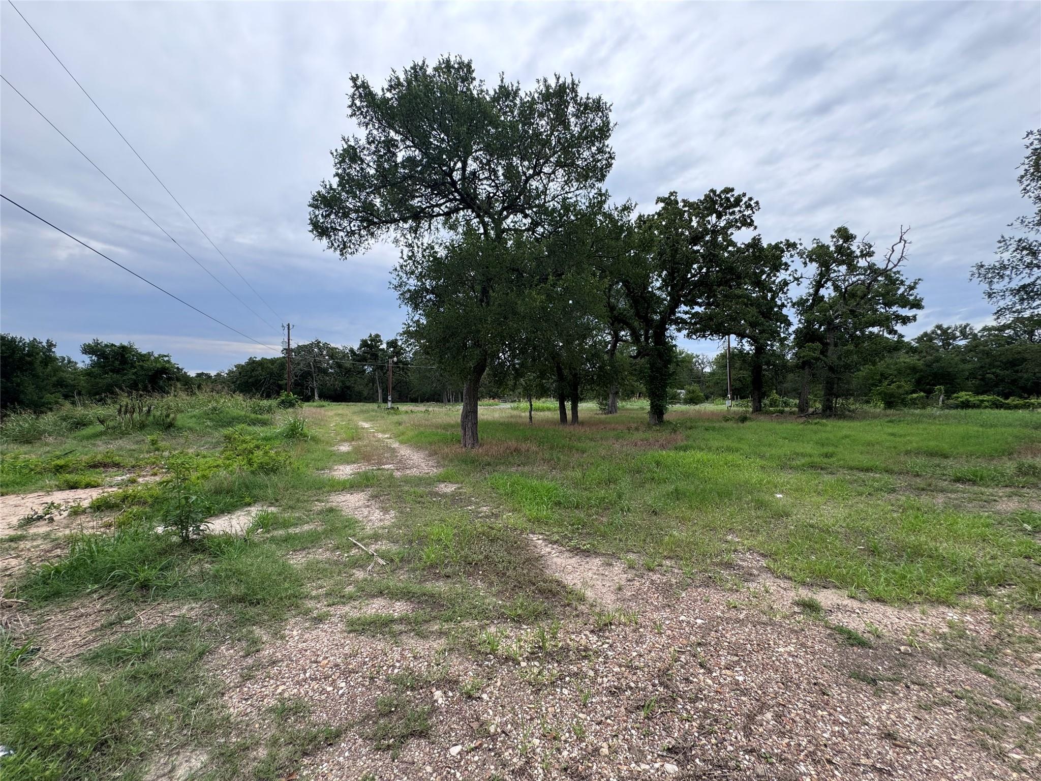 161 Fm 1209 None Property Photo 7