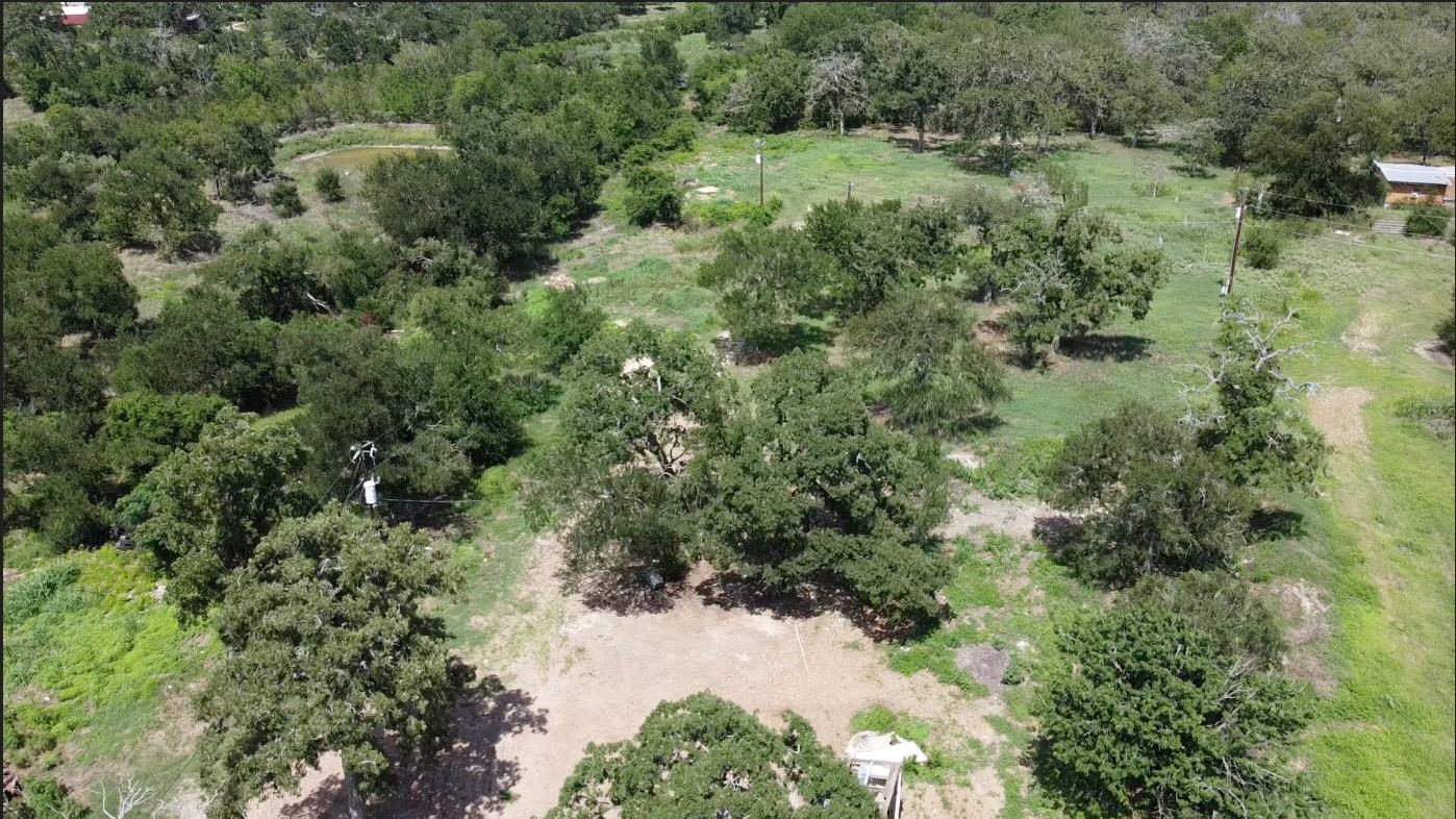 161 Fm 1209 None Property Photo 16