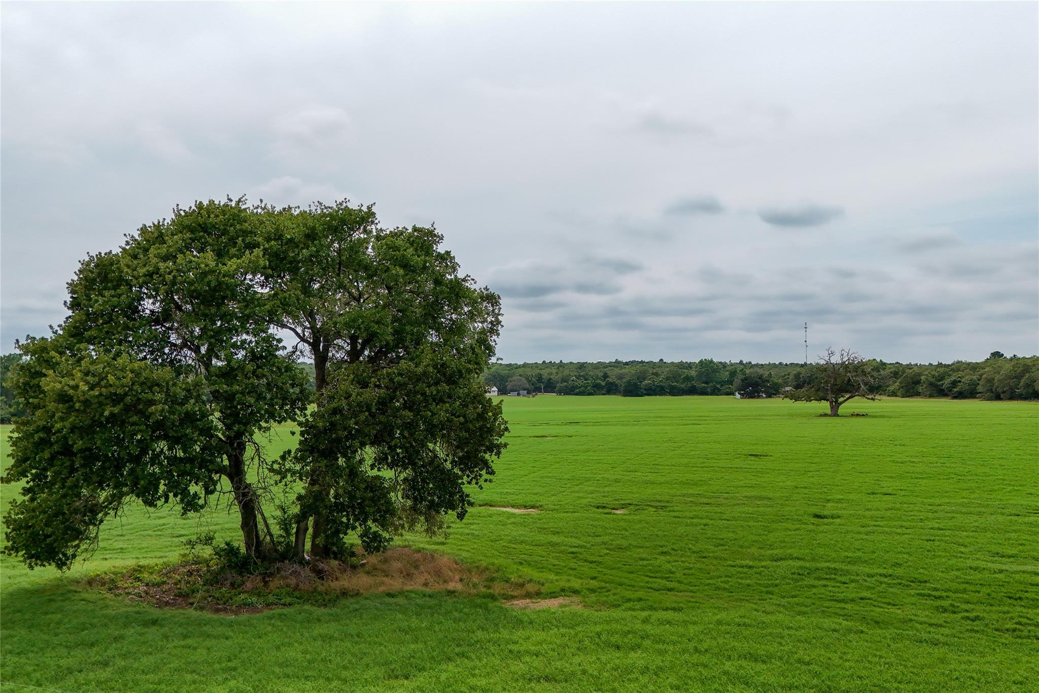 Tbd Hwy 290 Lot 2 None Property Photo 6