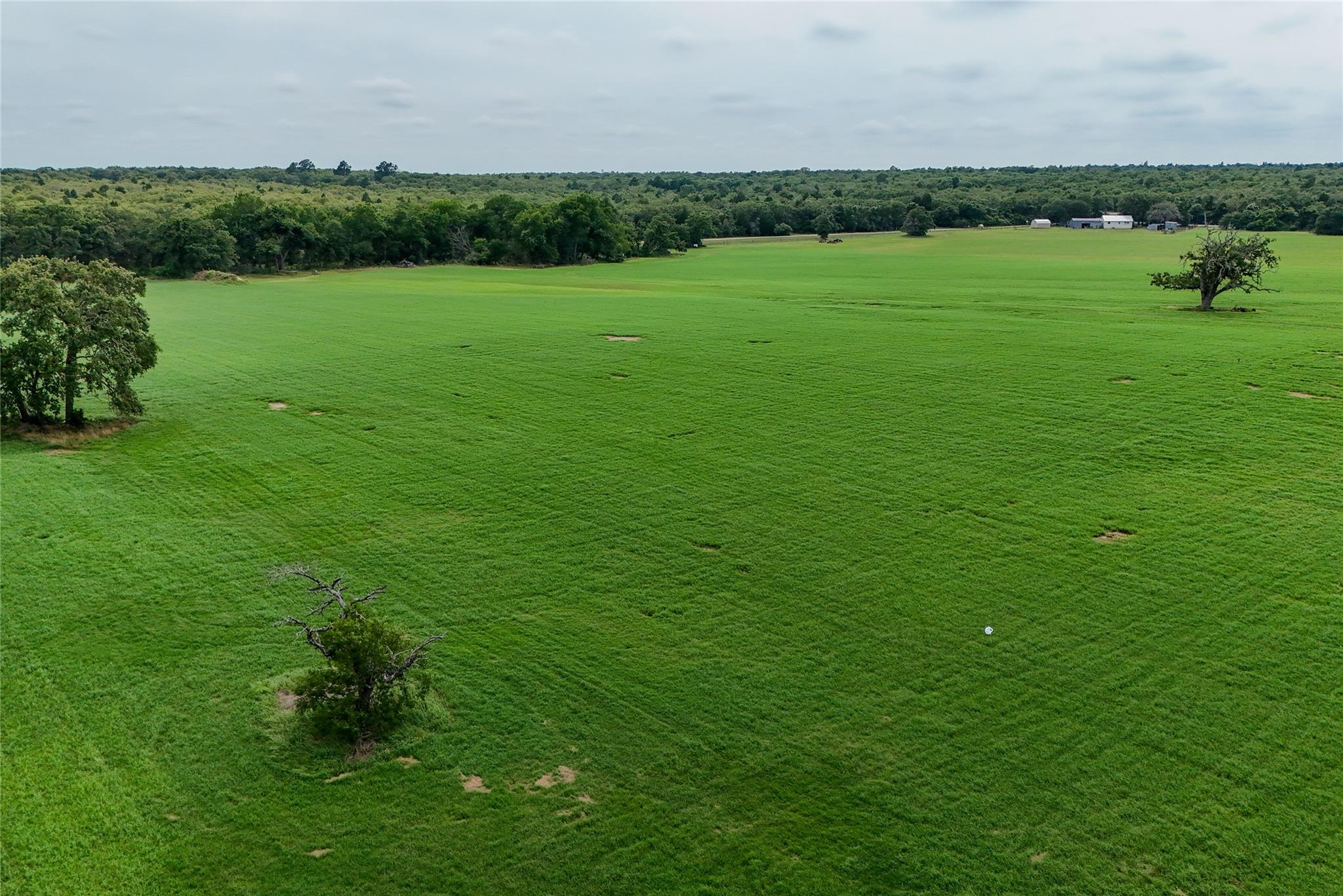 Tbd Hwy 290 Lot 2 None Property Photo 28