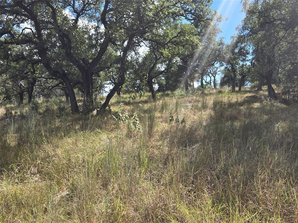 14024 Pinkerton Loop Property Photo 14