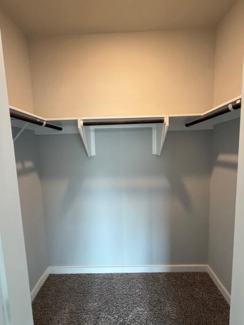 11427 Pastini Cir Property Photo 6