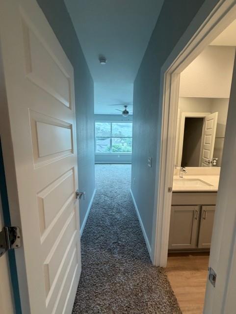 11427 Pastini Cir Property Photo 13