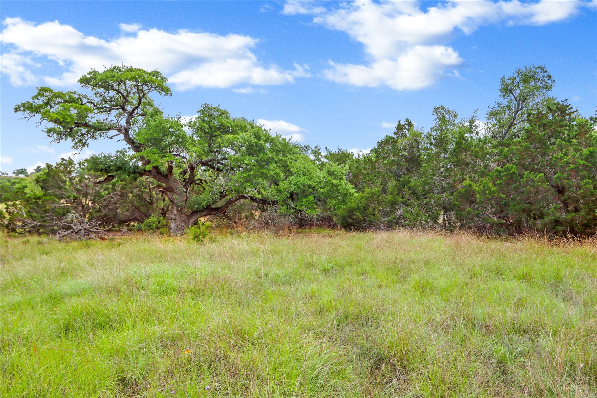 Lot 20 Early Bird Ln Property Photo 4