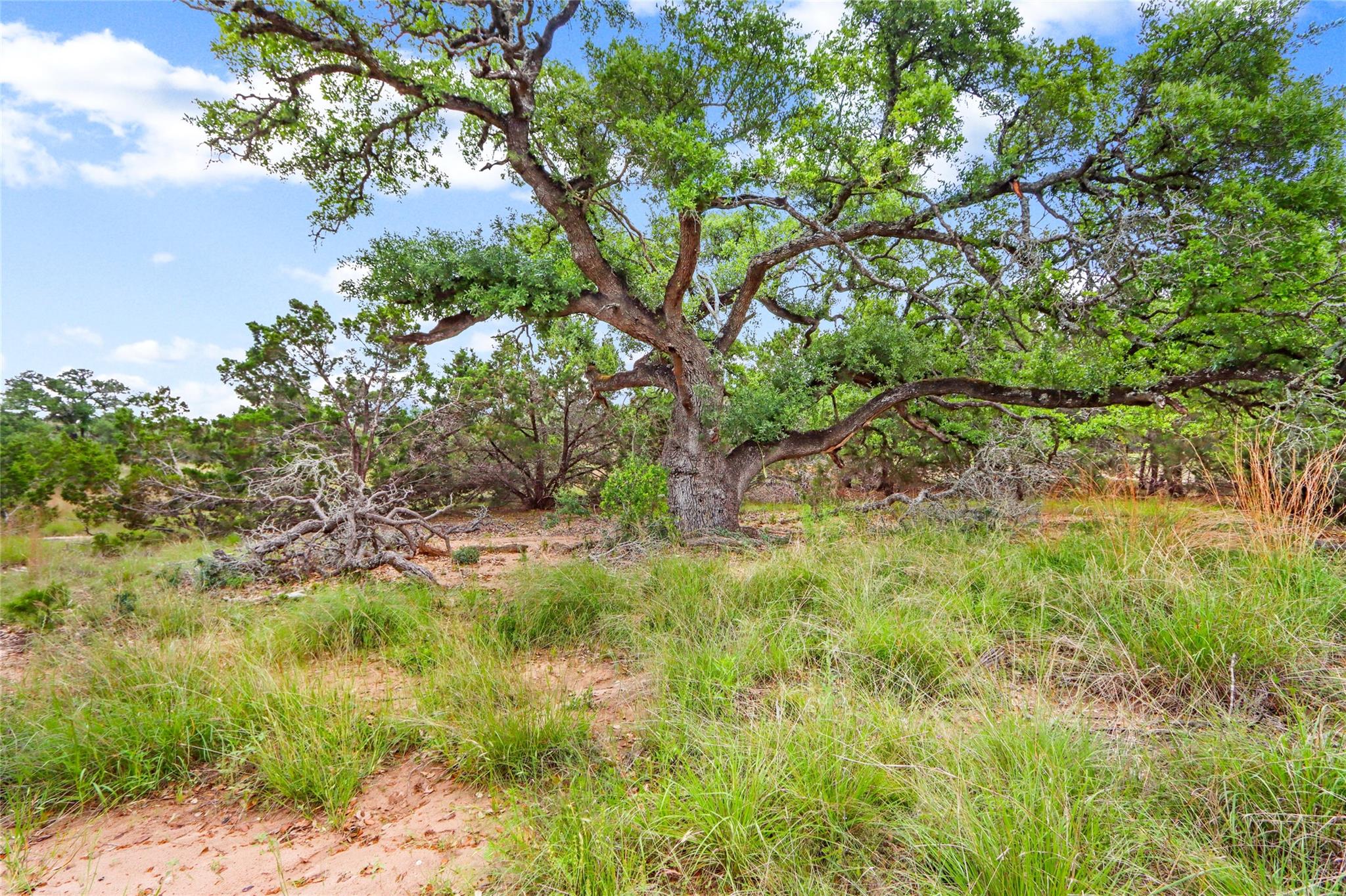 Lot 20 Early Bird Ln Property Photo 6