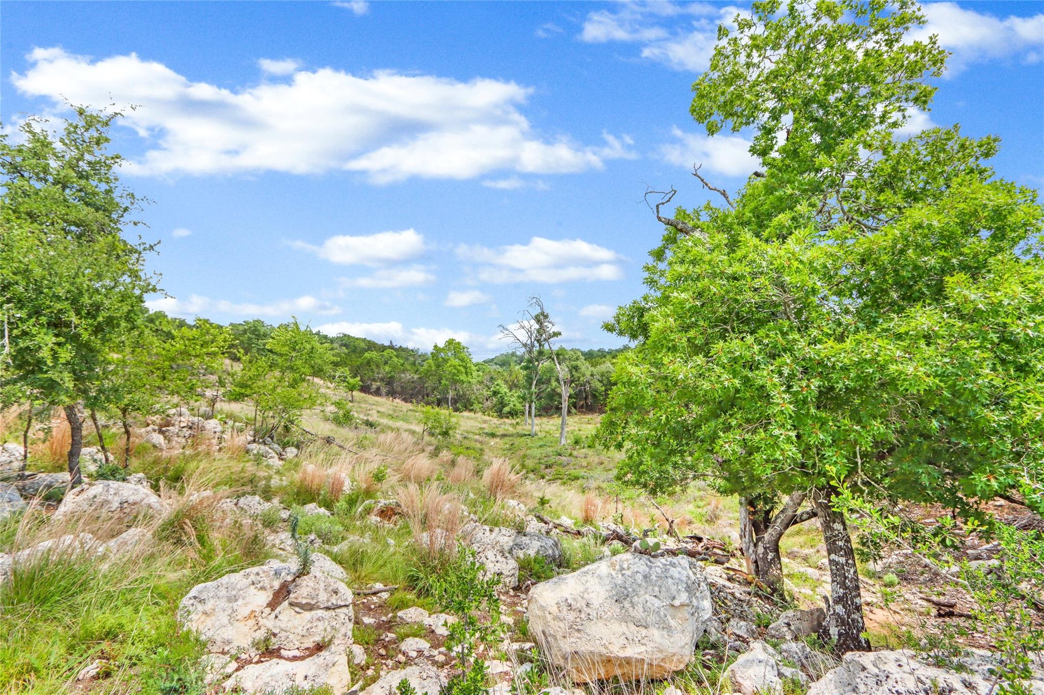Lot 20 Early Bird Ln Property Photo 7