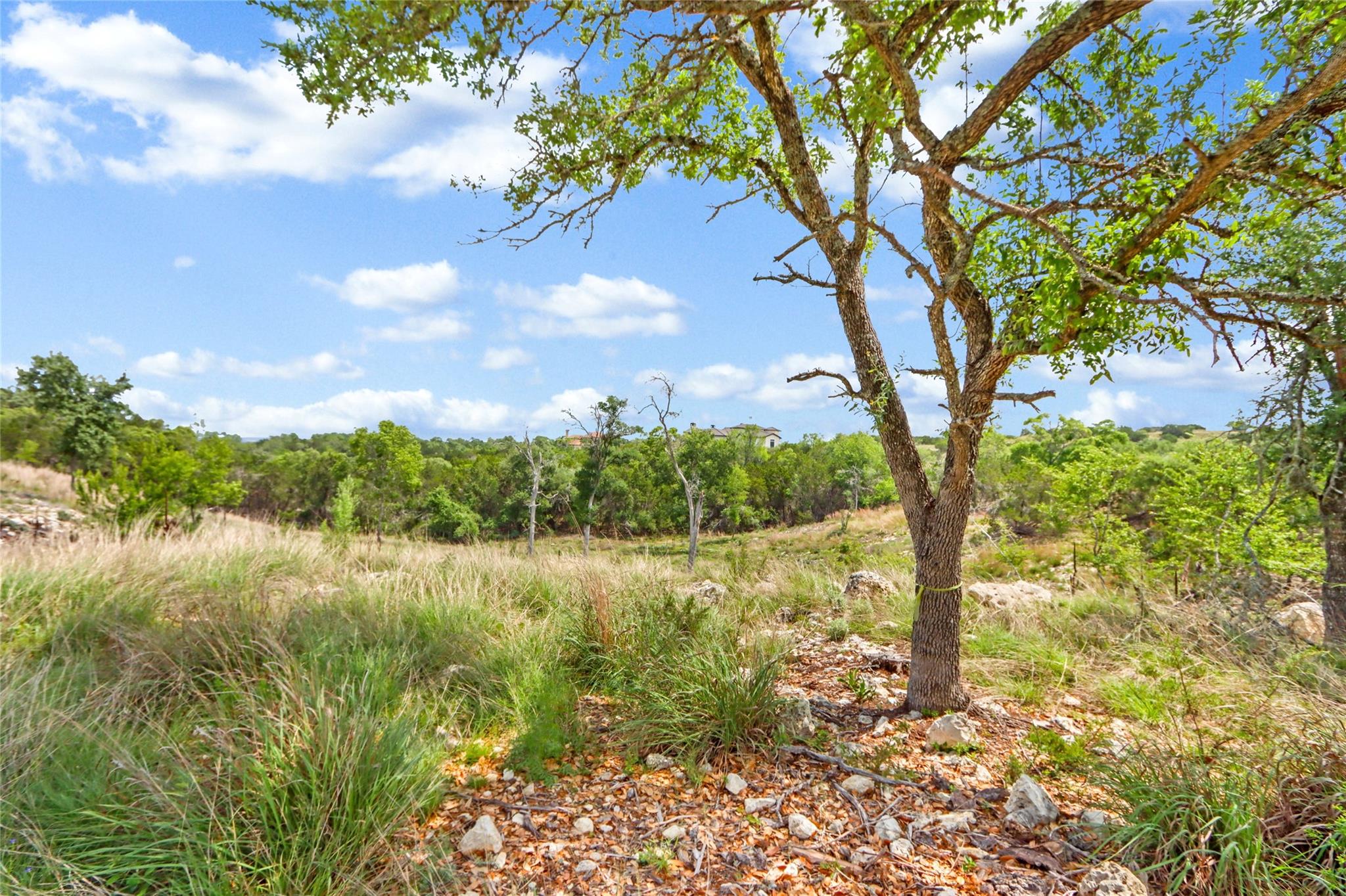 Lot 20 Early Bird Ln Property Photo 10
