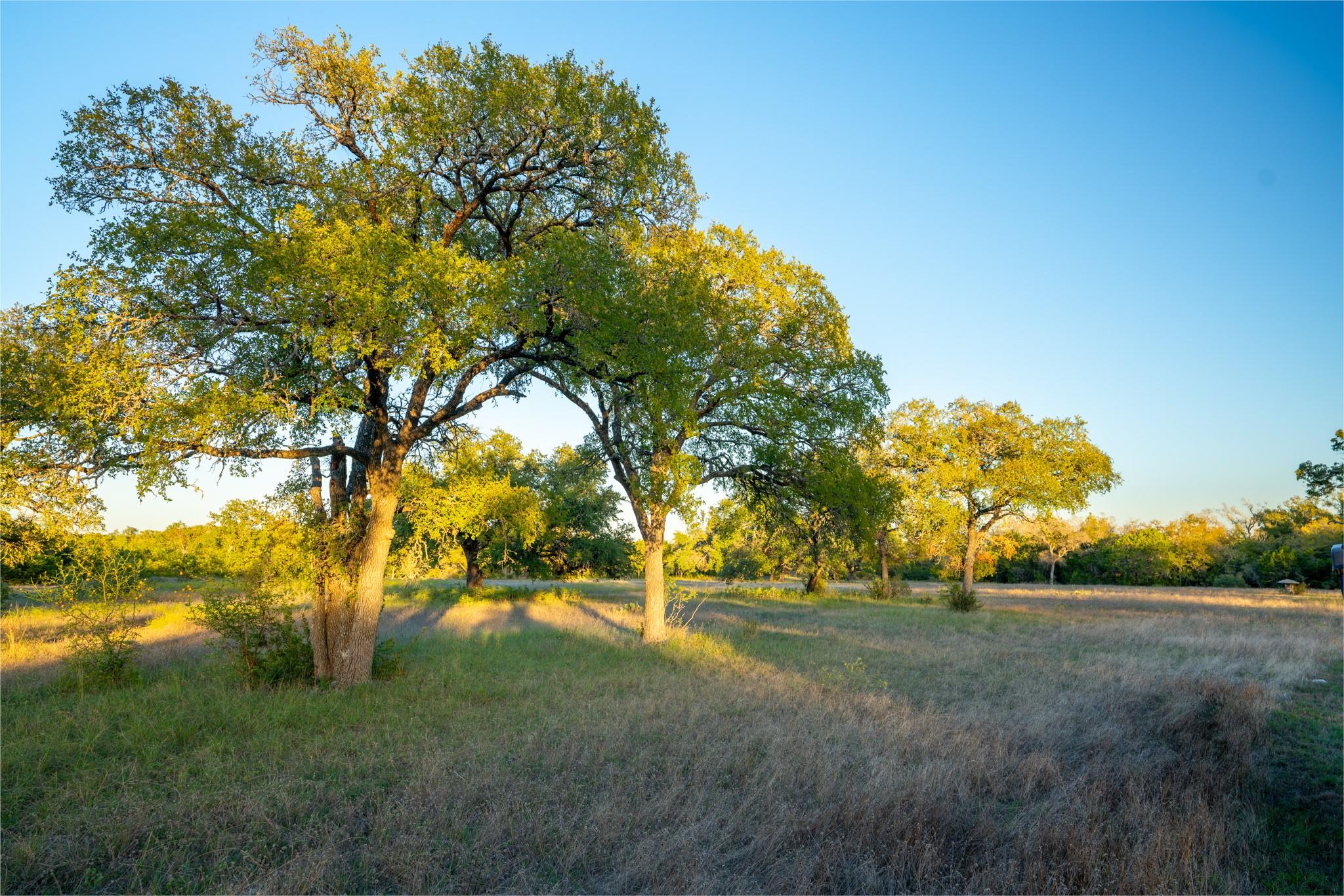0 Silver Creek Rd Property Photo 20