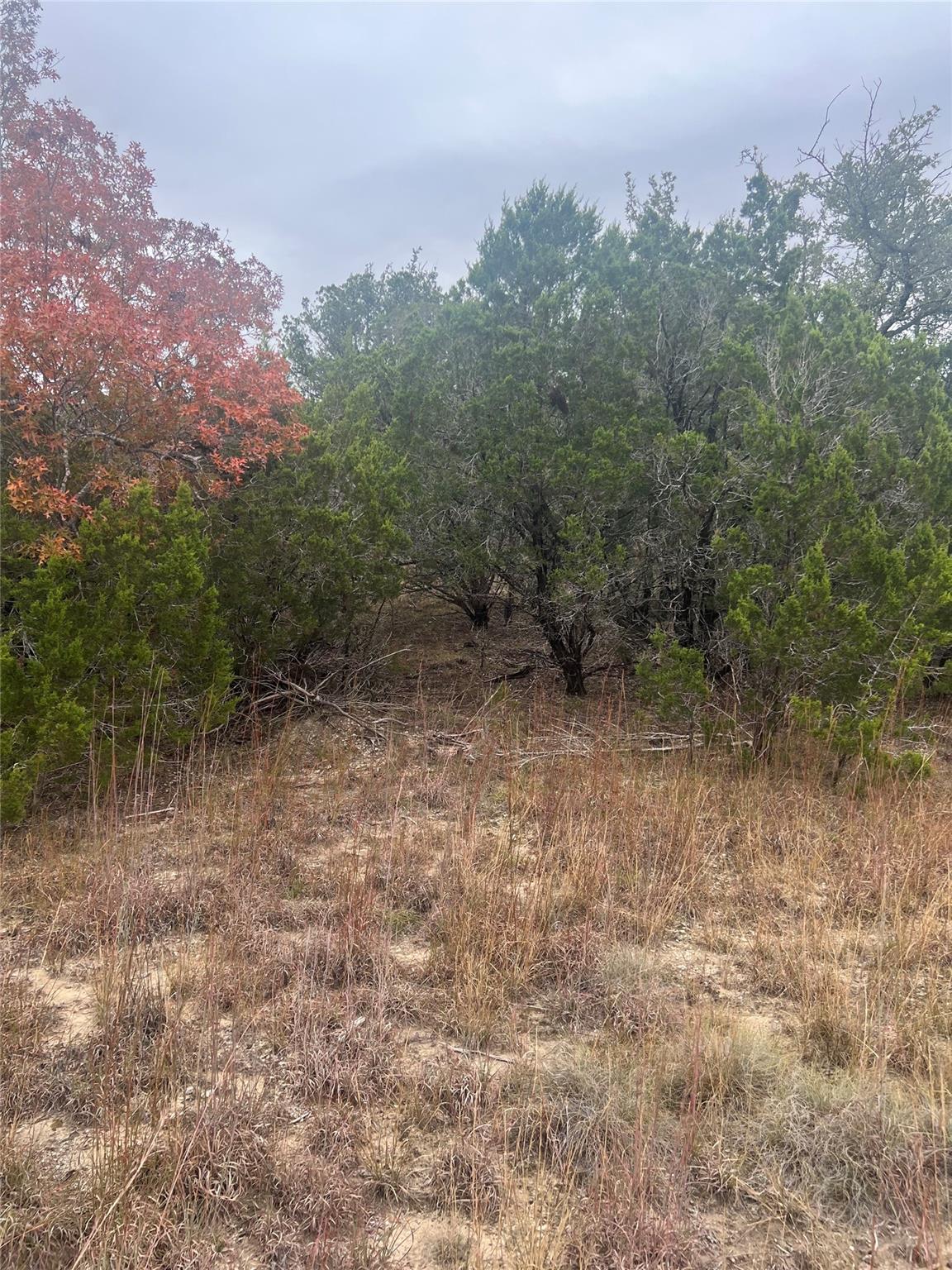 Tbd Old Trails Ct Property Photo 7