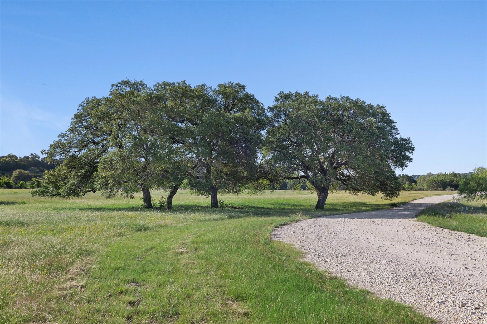 1081 County Road 1320 None Property Photo 17
