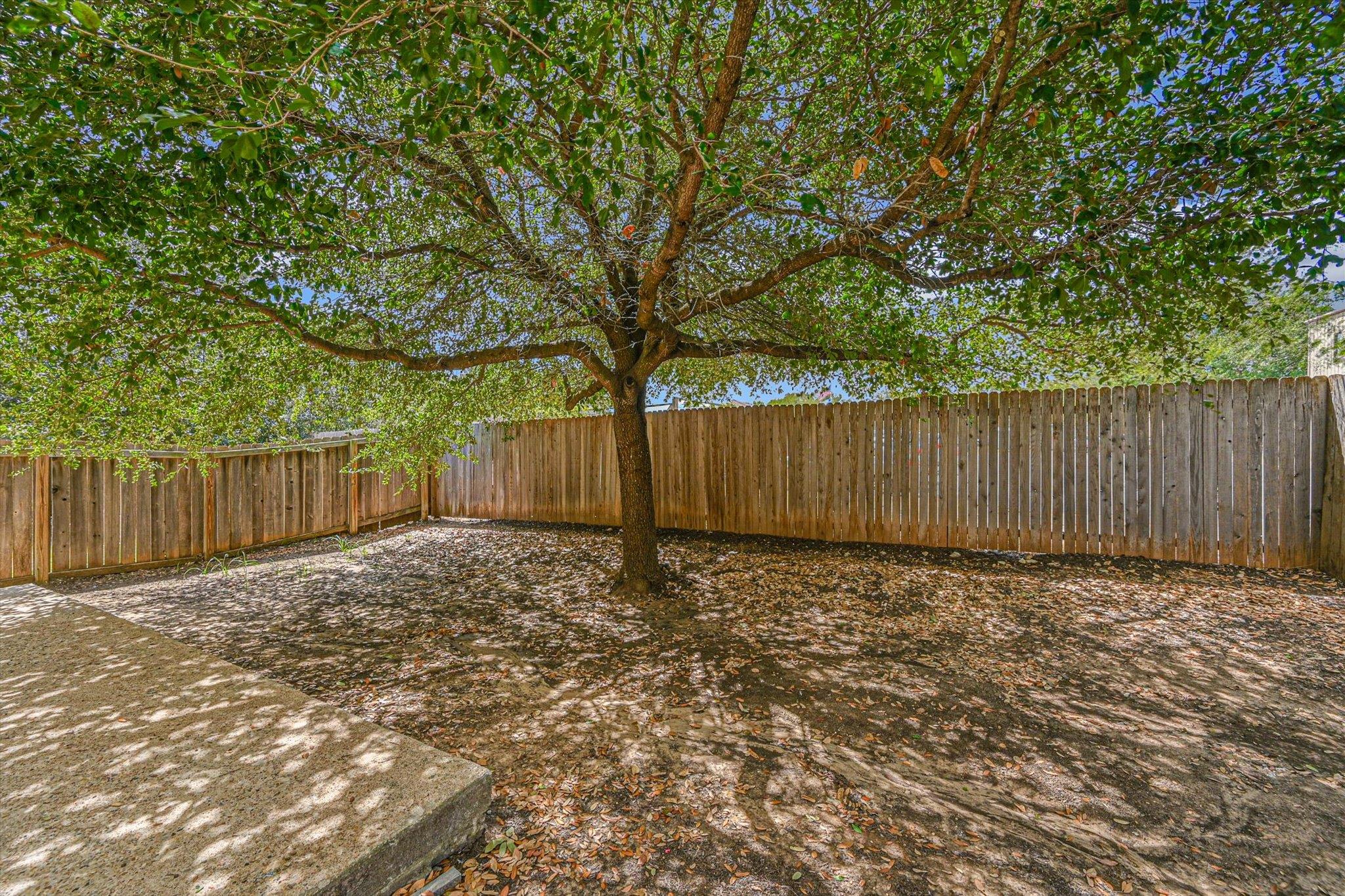 7337 Menchaca Rd #32 Property Photo 29