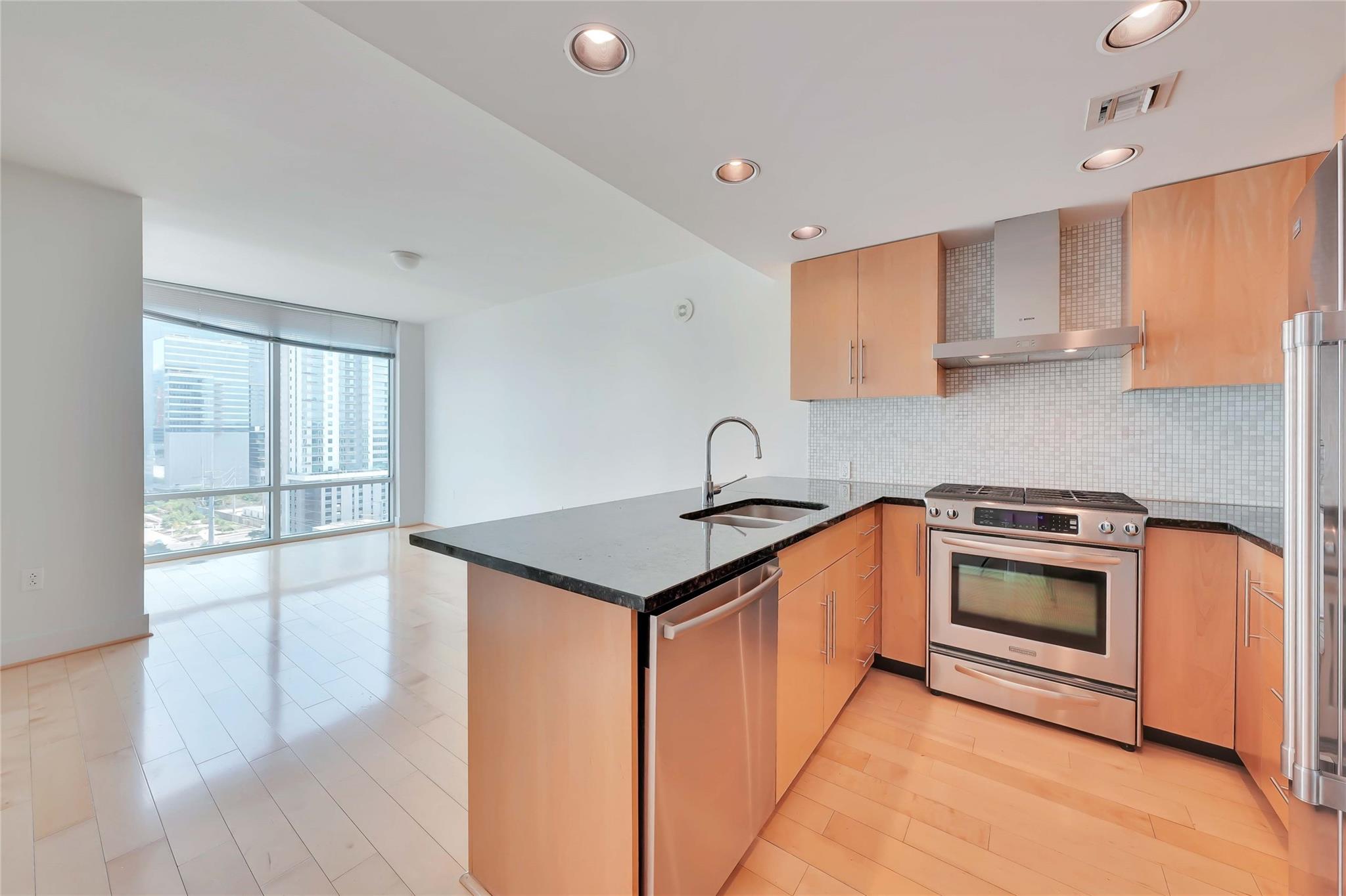 300 Bowie St #1502 Property Photo 6