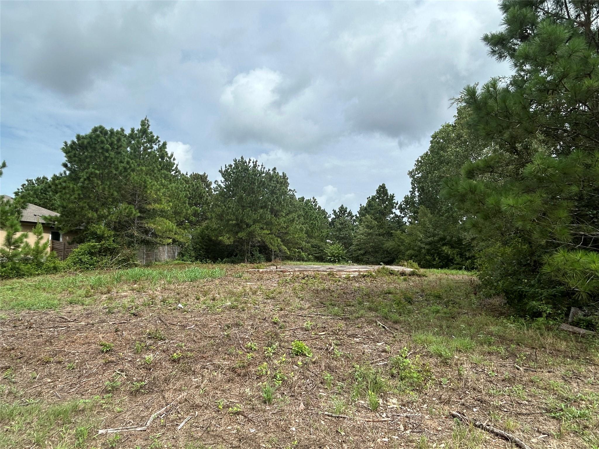 158 Cardinal Loop Property Photo 5