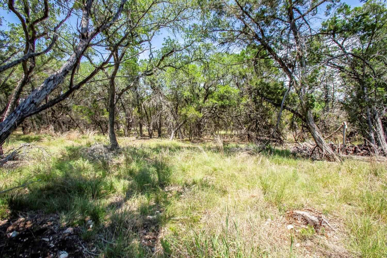 41 Persimmon Dr Property Photo 5