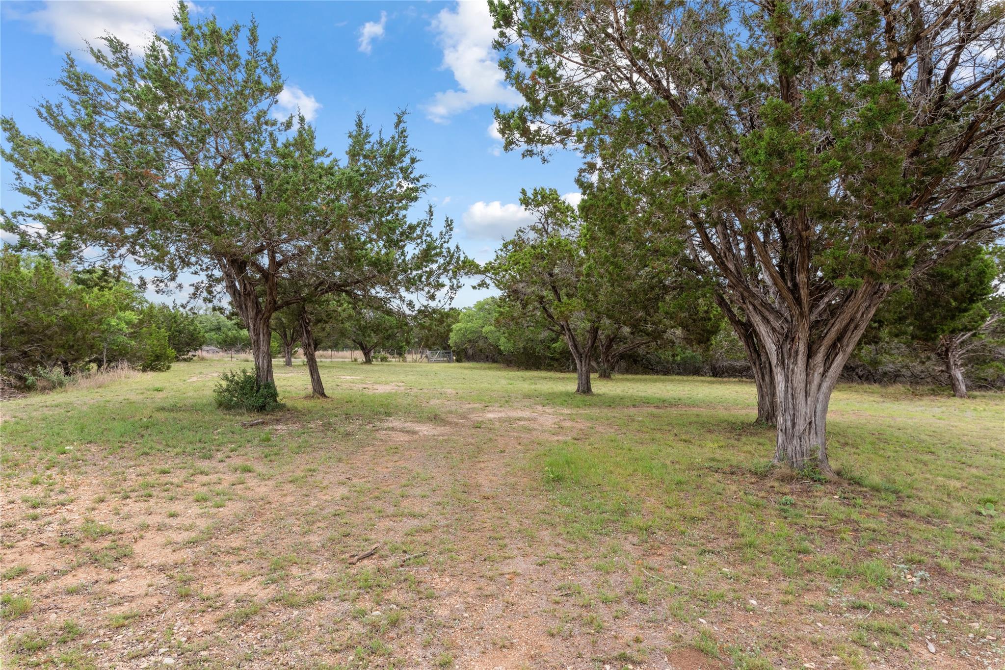 4250 Mccall Creek Rd Property Photo 17
