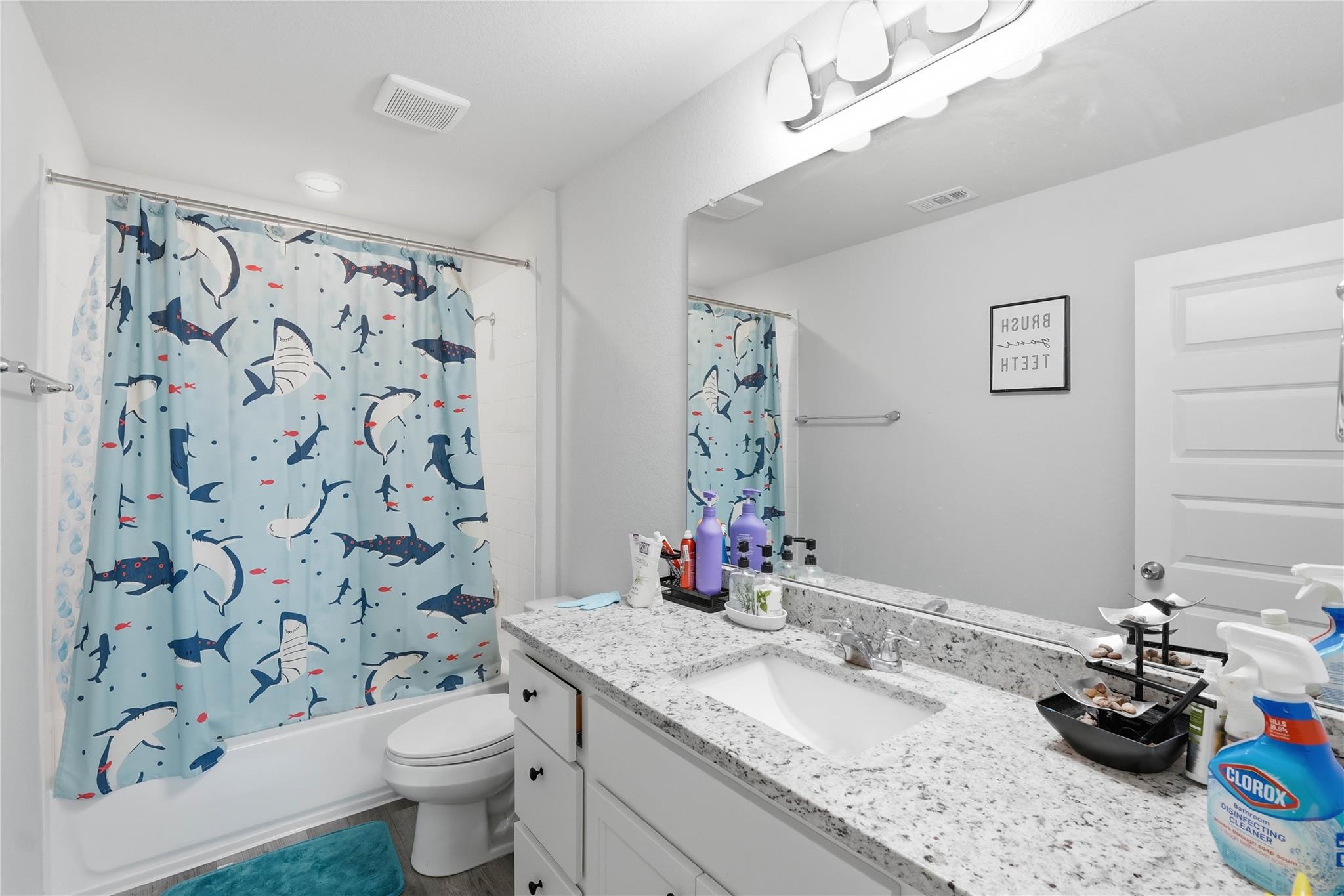 2437 Lucy Axel Ln Property Photo 18