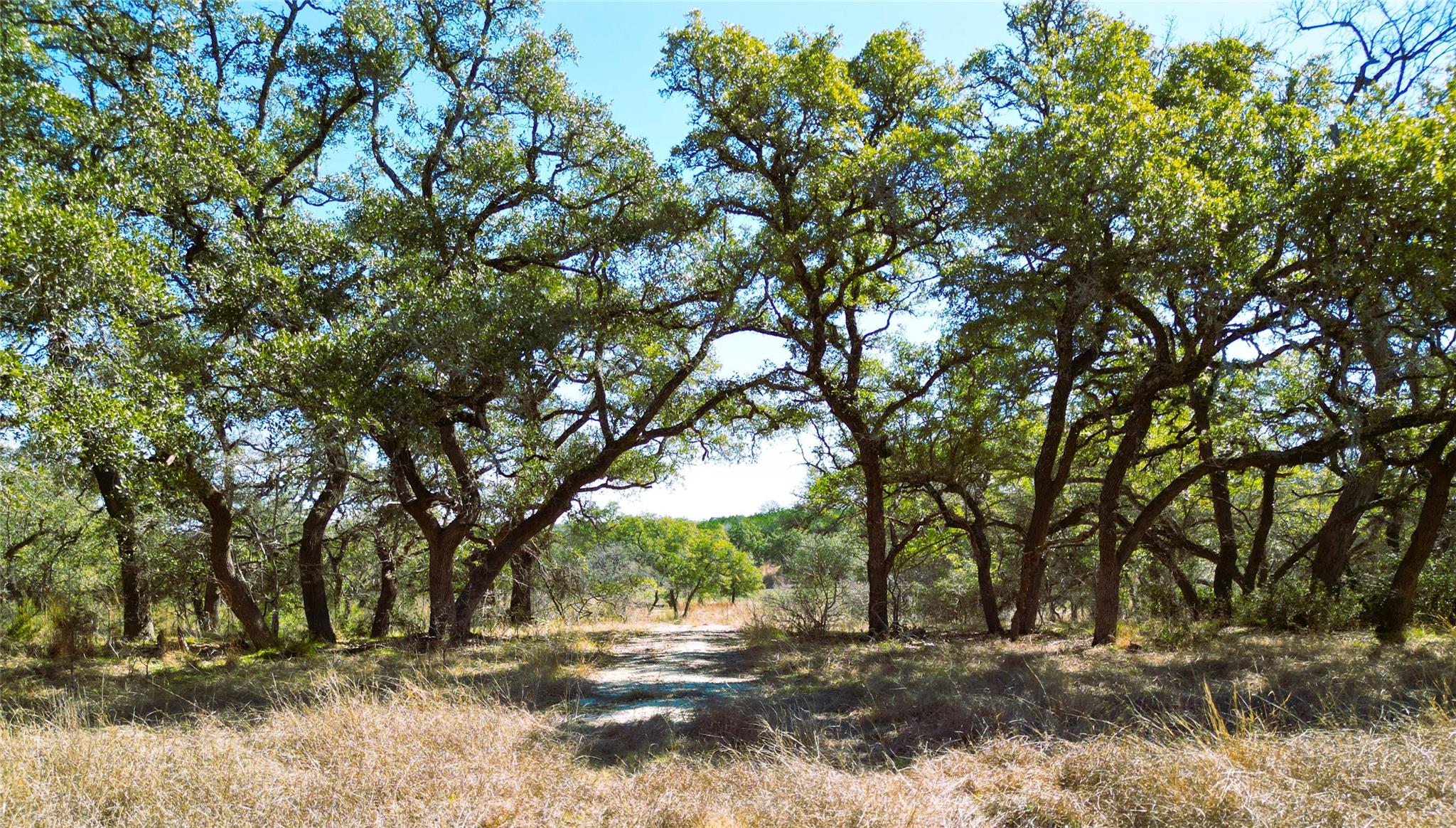 1090 Wilson Ranch Rd Property Photo