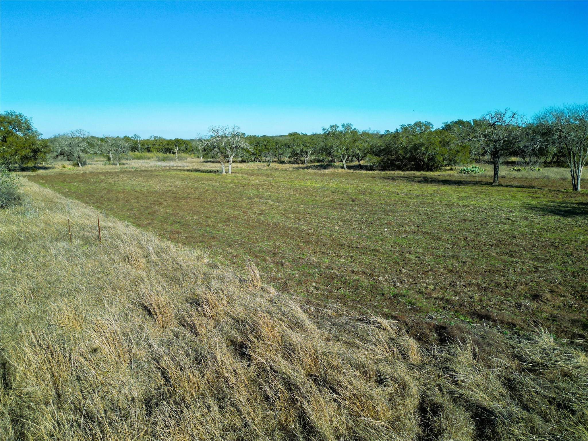 1090 Wilson Ranch Rd Property Photo 7