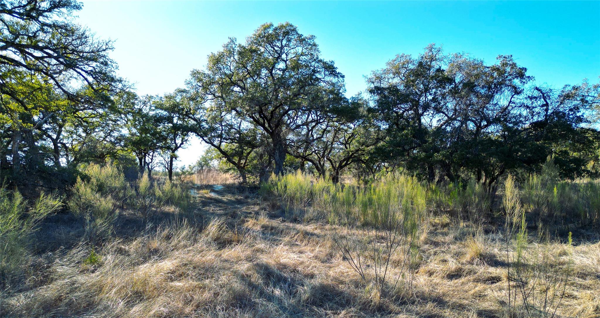 1090 Wilson Ranch Rd Property Photo 11