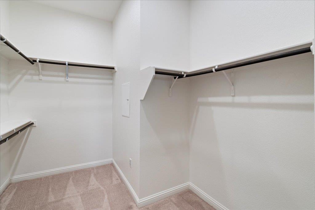 13001 Cardinal Flower Dr Property Photo 20