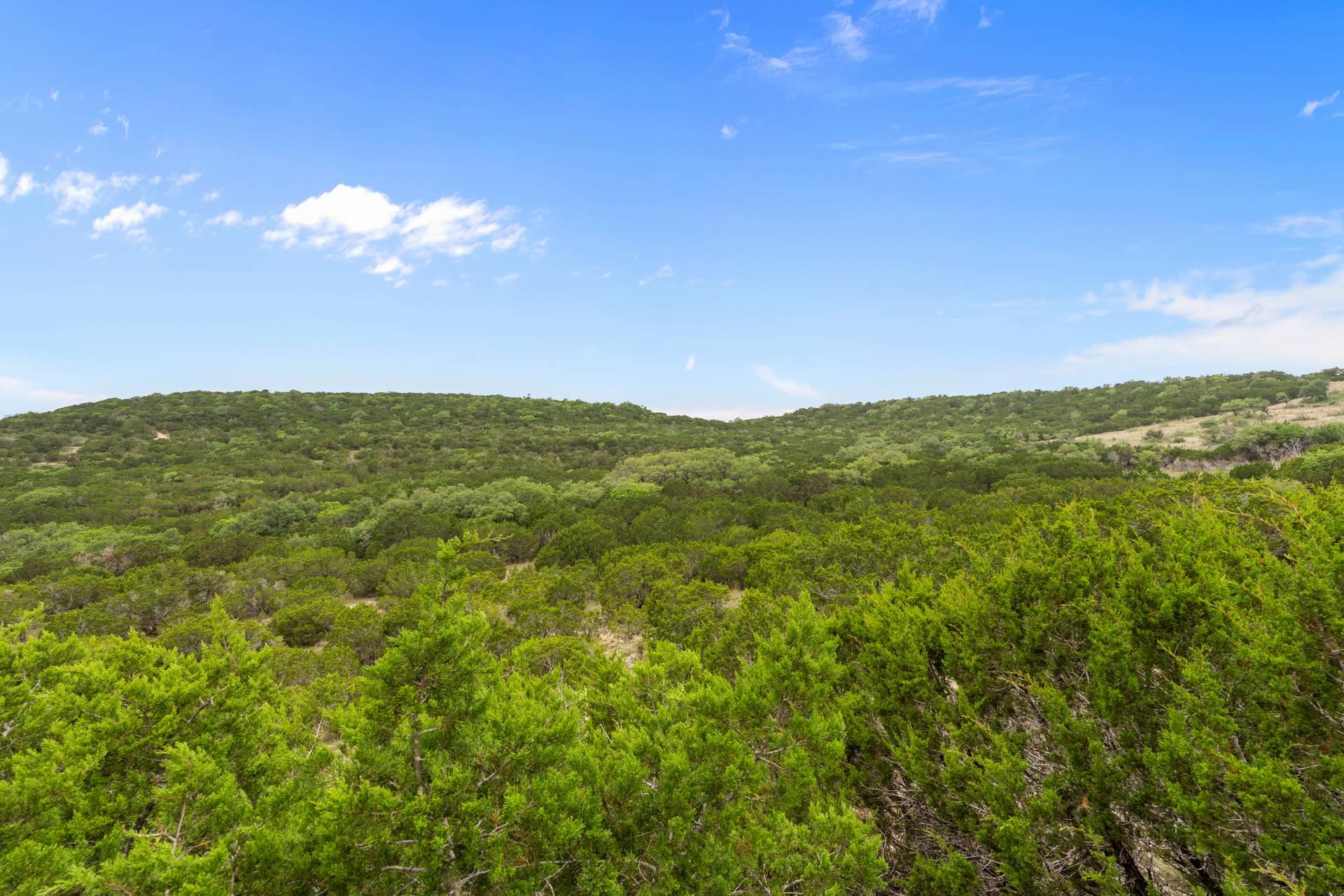 182 Quail Creek Rd Property Photo 14