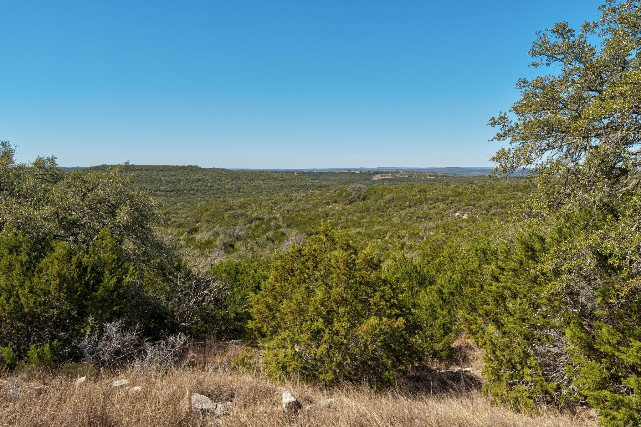 1802 Overland Stage Rd Property Photo 13