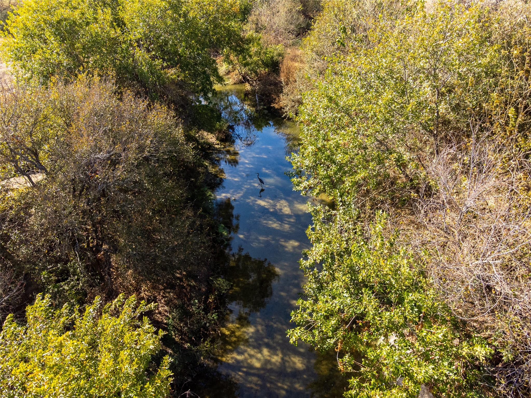 59.59 Acres County Road 384 Property Photo 6