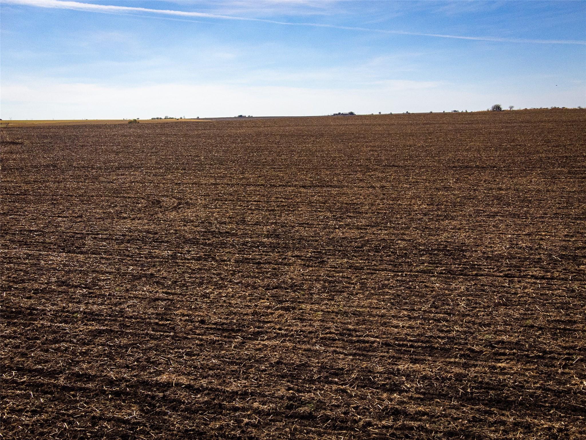 59.59 Acres County Road 384 Property Photo 15