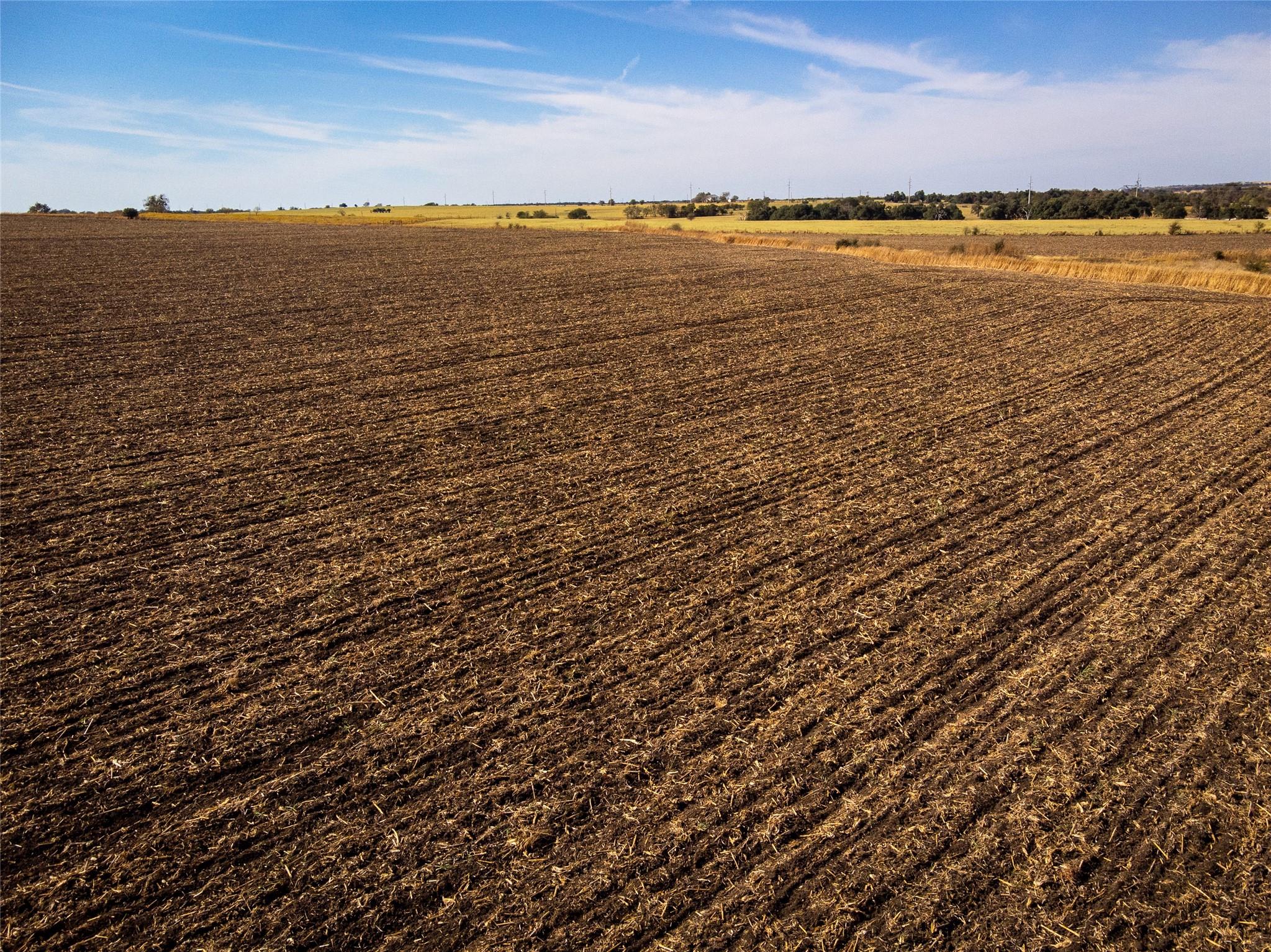 59.59 Acres County Road 384 Property Photo 16
