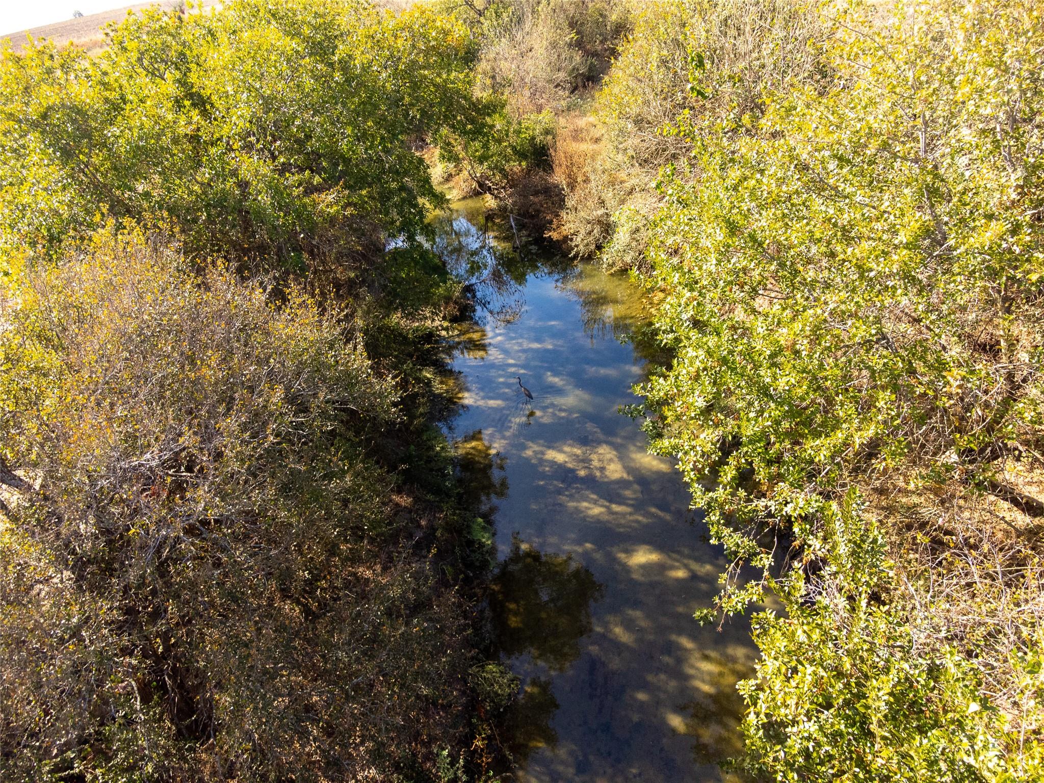 59.59 Acres County Road 384 Property Photo 17