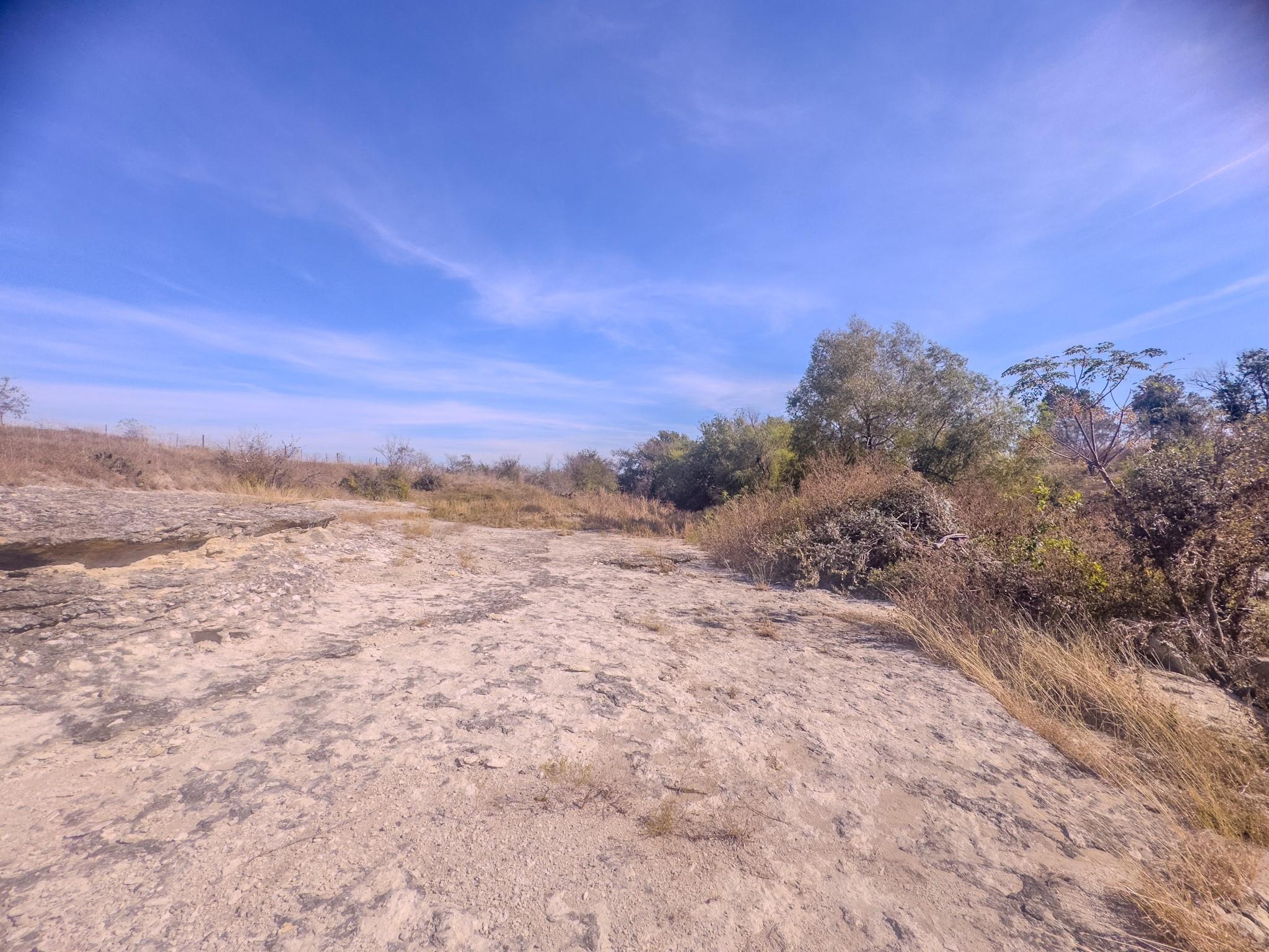 59.59 Acres County Road 384 Property Photo 21