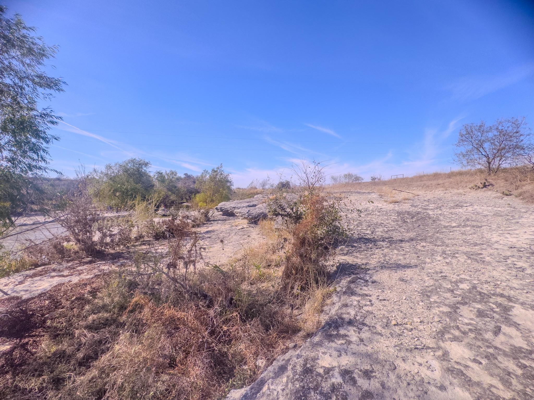 59.59 Acres County Road 384 Property Photo 22