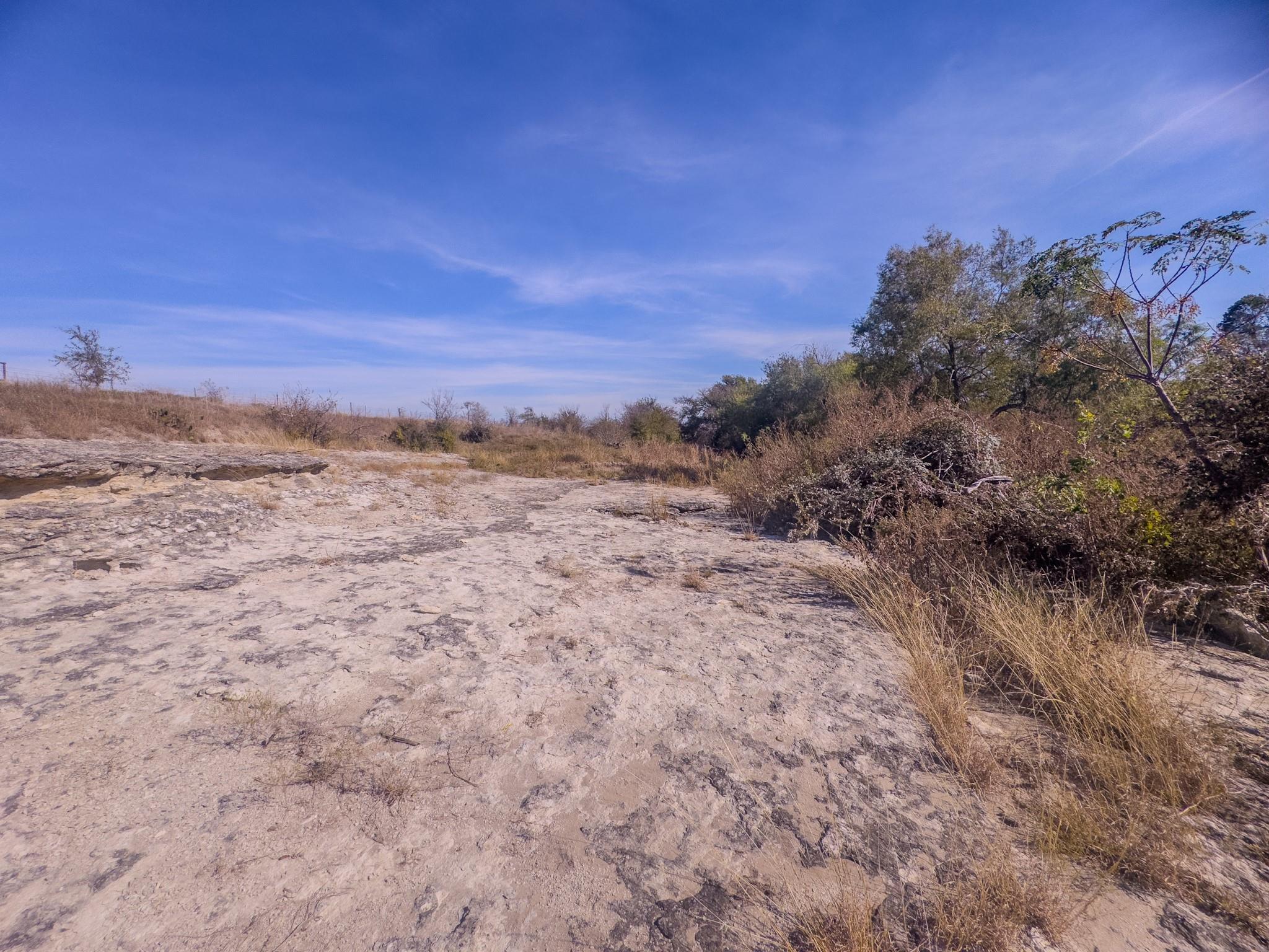 59.59 Acres County Road 384 Property Photo 26