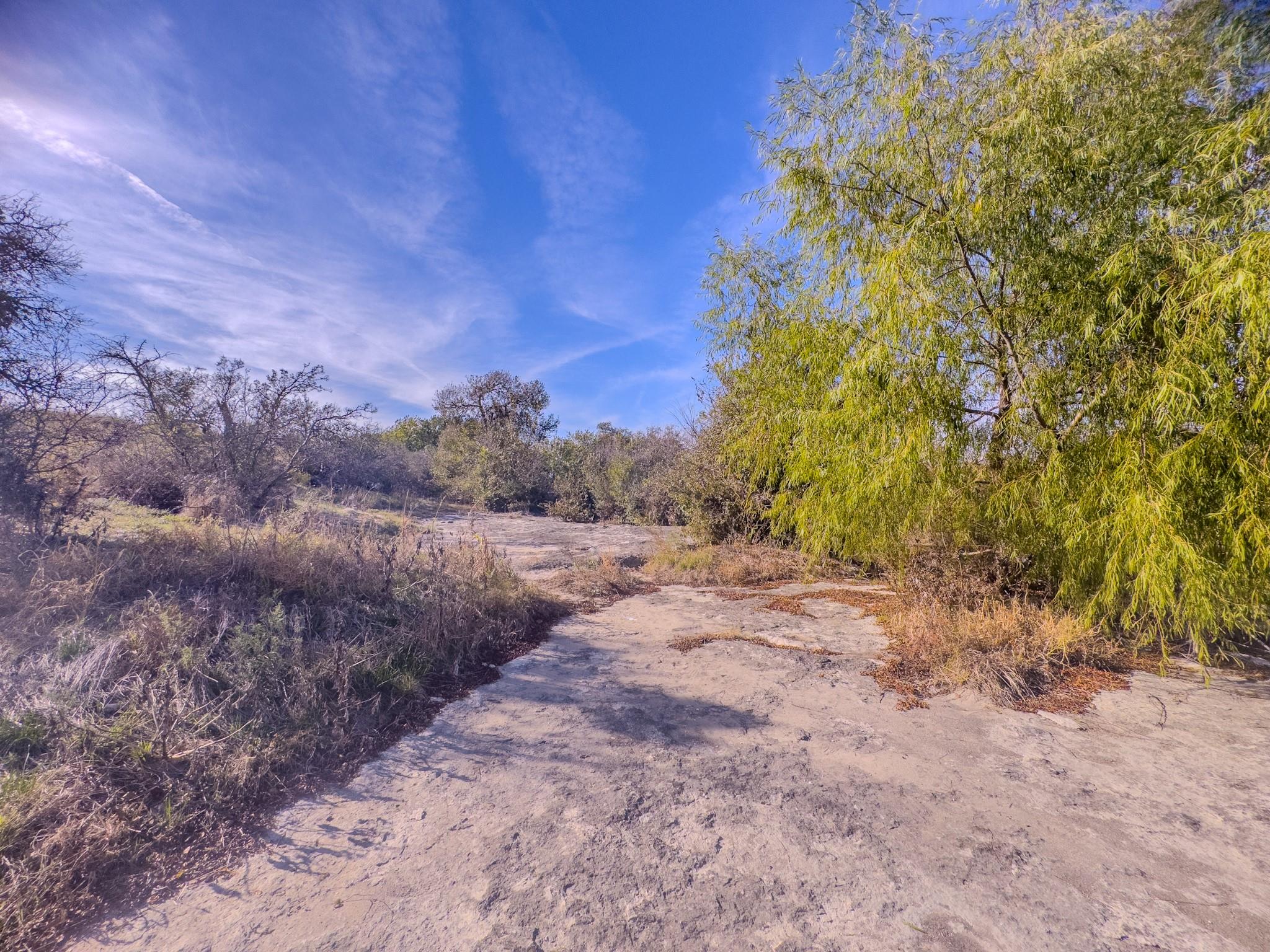 59.59 Acres County Road 384 Property Photo 35