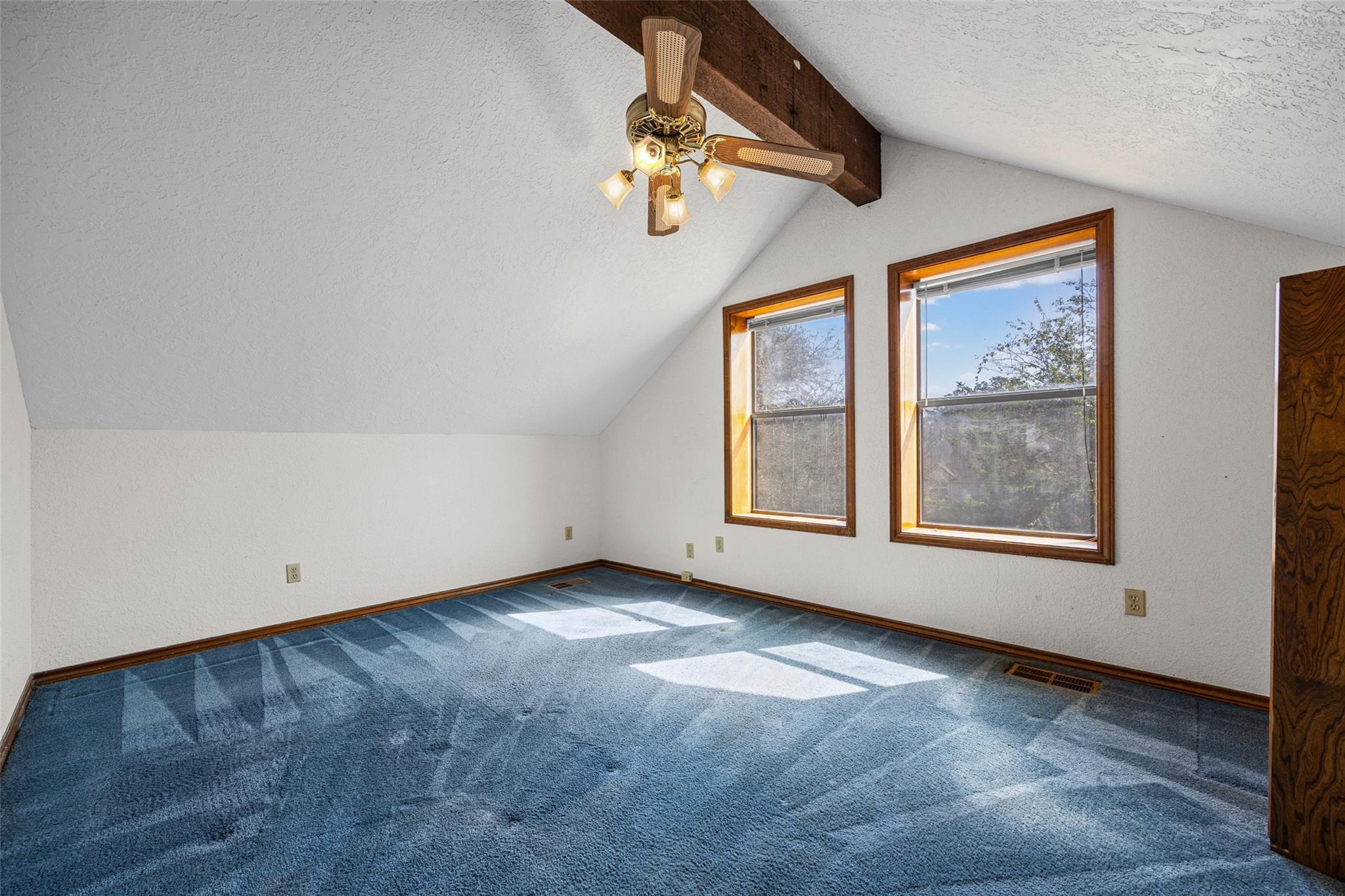 3501 Black Mesa Holw Property Photo 19