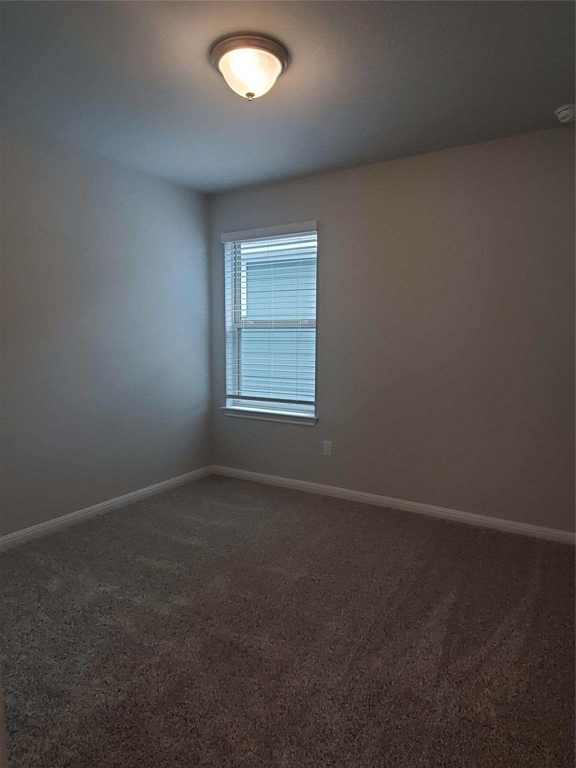 1717 Fountain Bridge Dr Property Photo 23