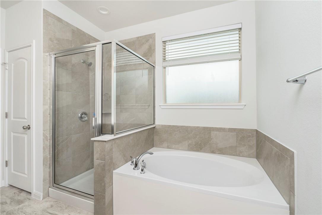 149 Falkland St Property Photo 11
