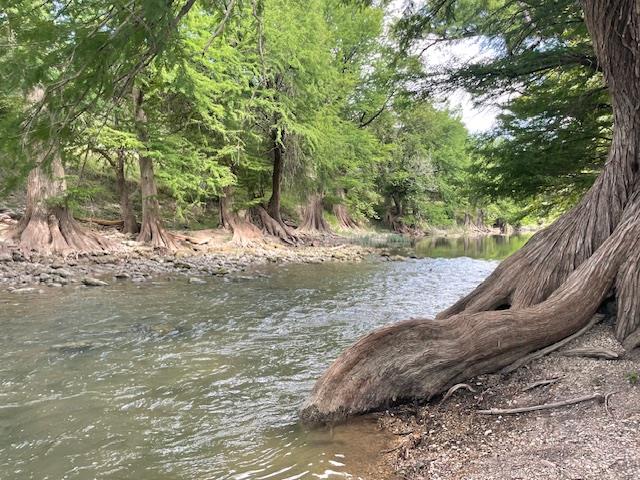 Lot 248 & 247 River Forest Dr Property Photo 1