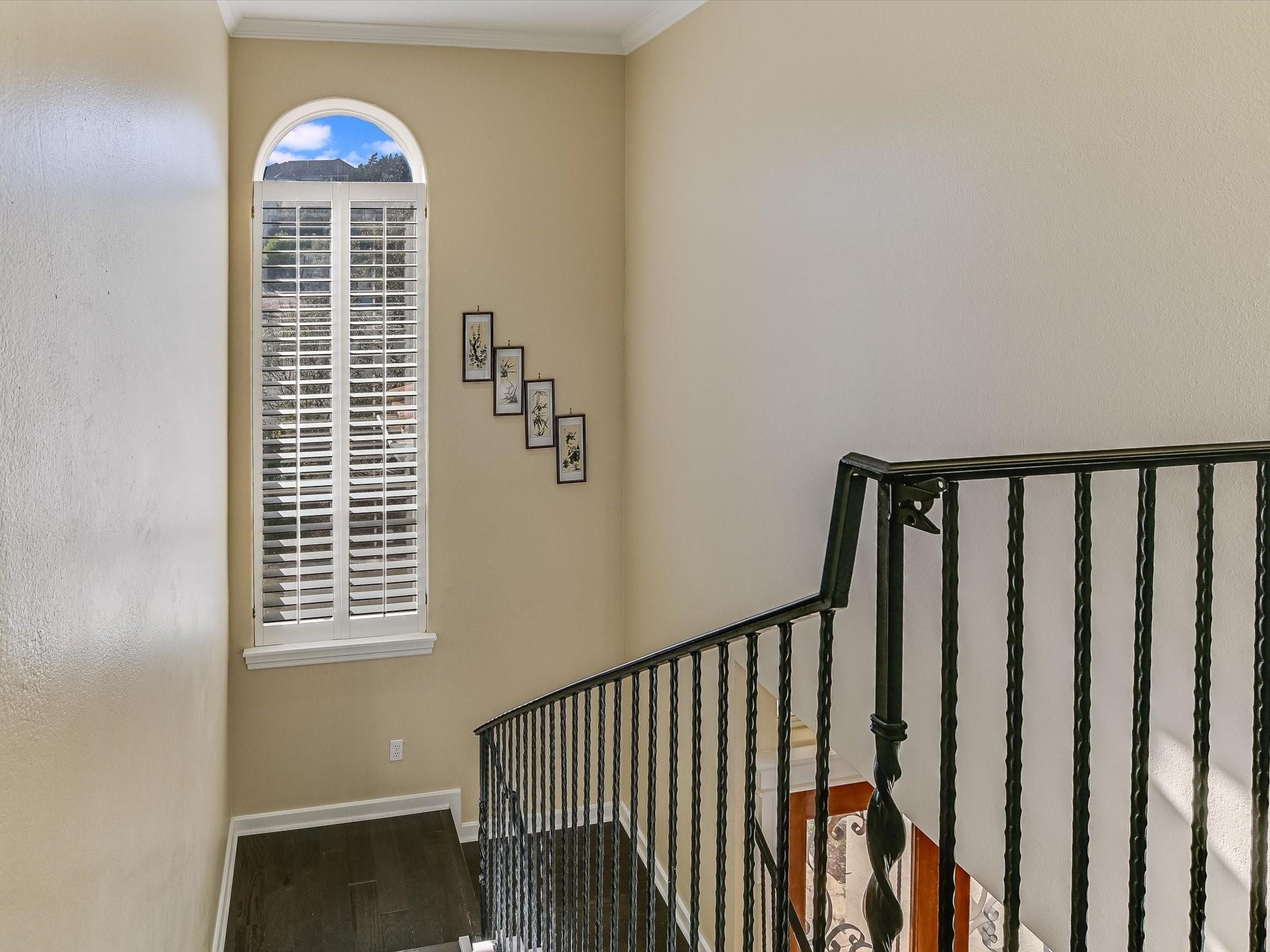 35 Autumn Oaks Dr Property Photo 17