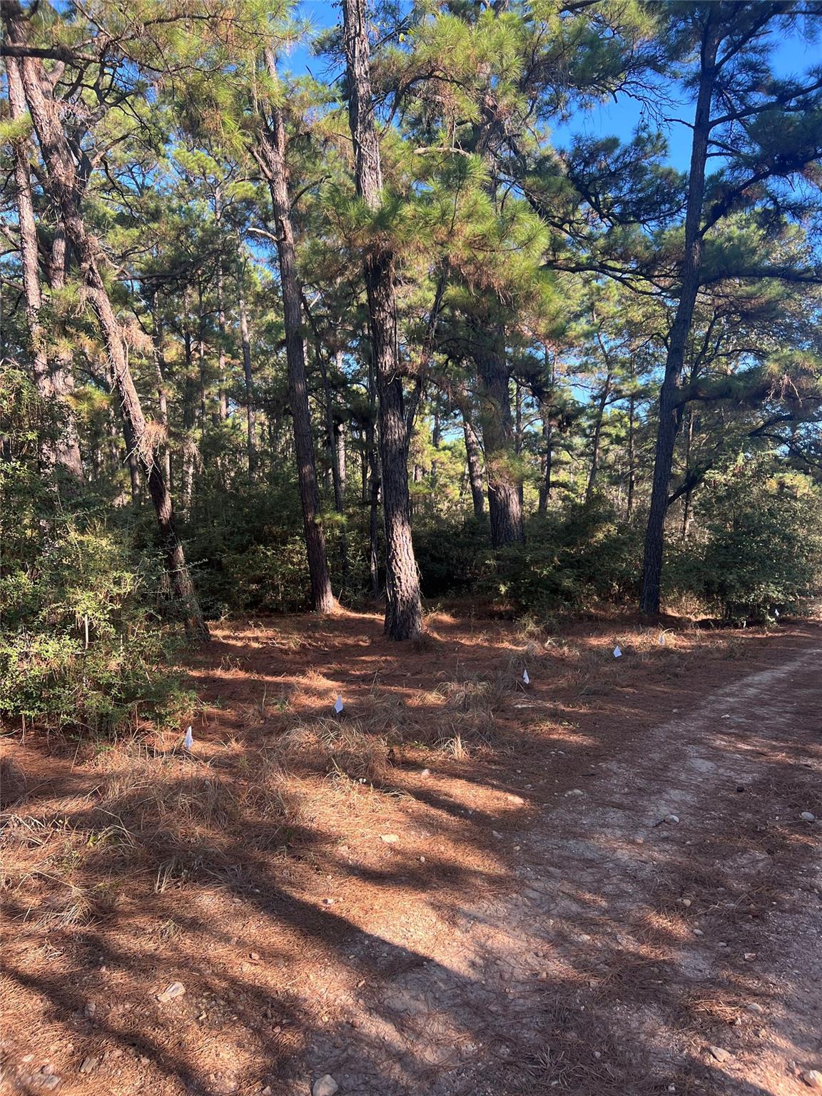 Tbd Pine Lodge Dr Property Photo 1