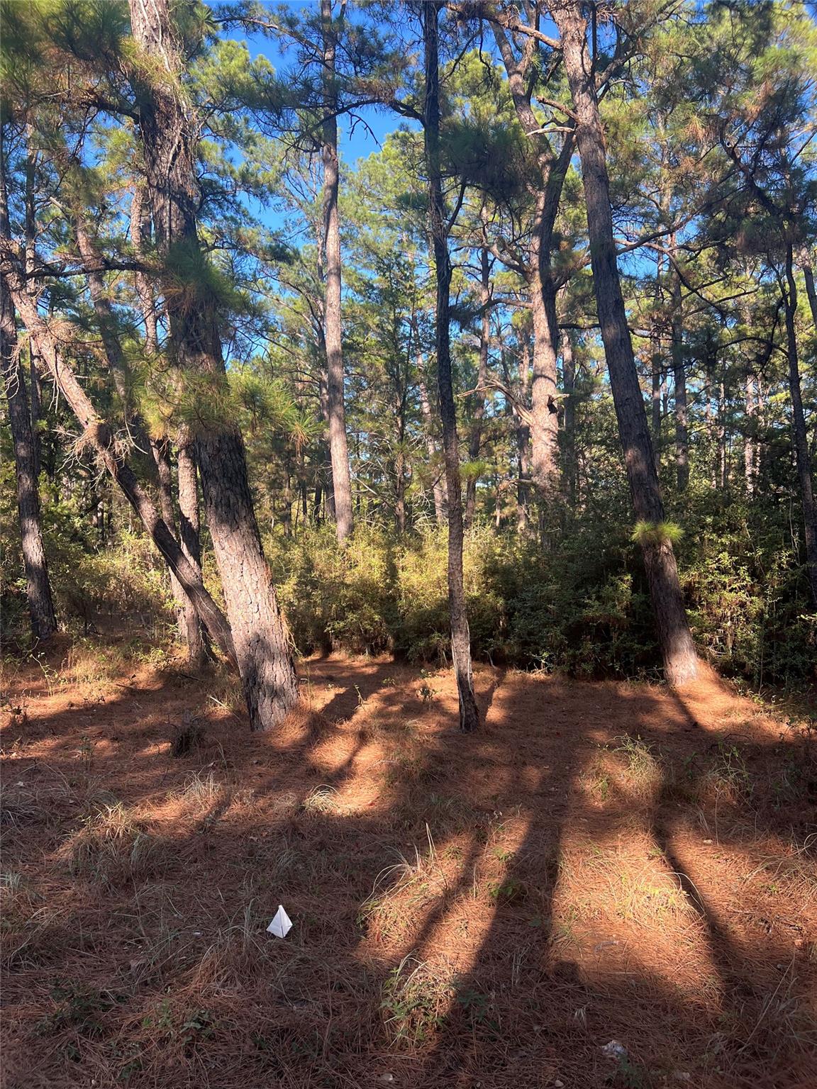 Tbd Pine Lodge Dr Property Photo 2