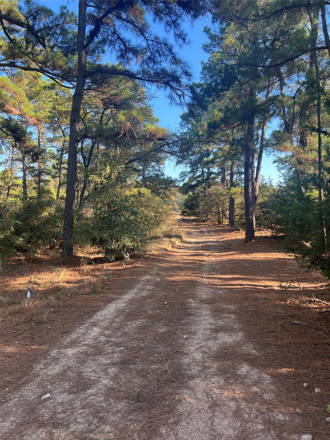 Tbd Pine Lodge Dr Property Photo 3