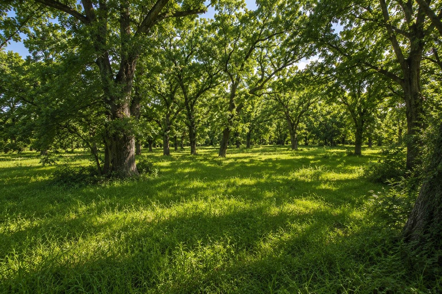 4562887 Property Photo 16