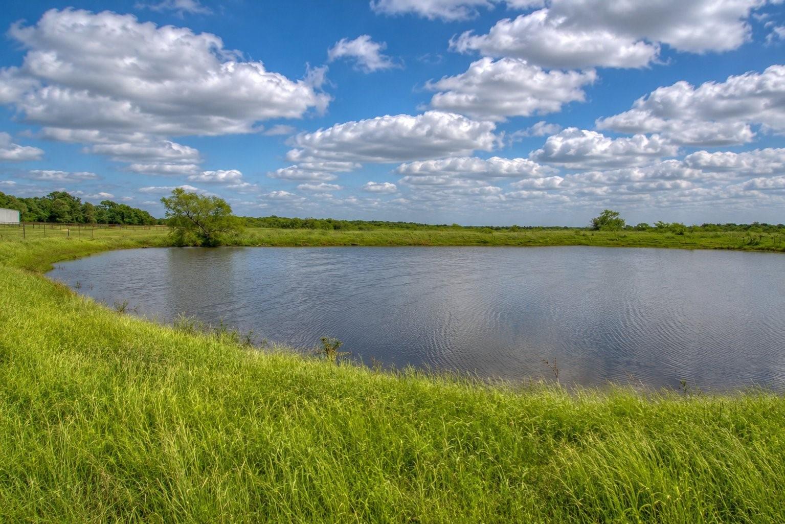 4562887 Property Photo 22