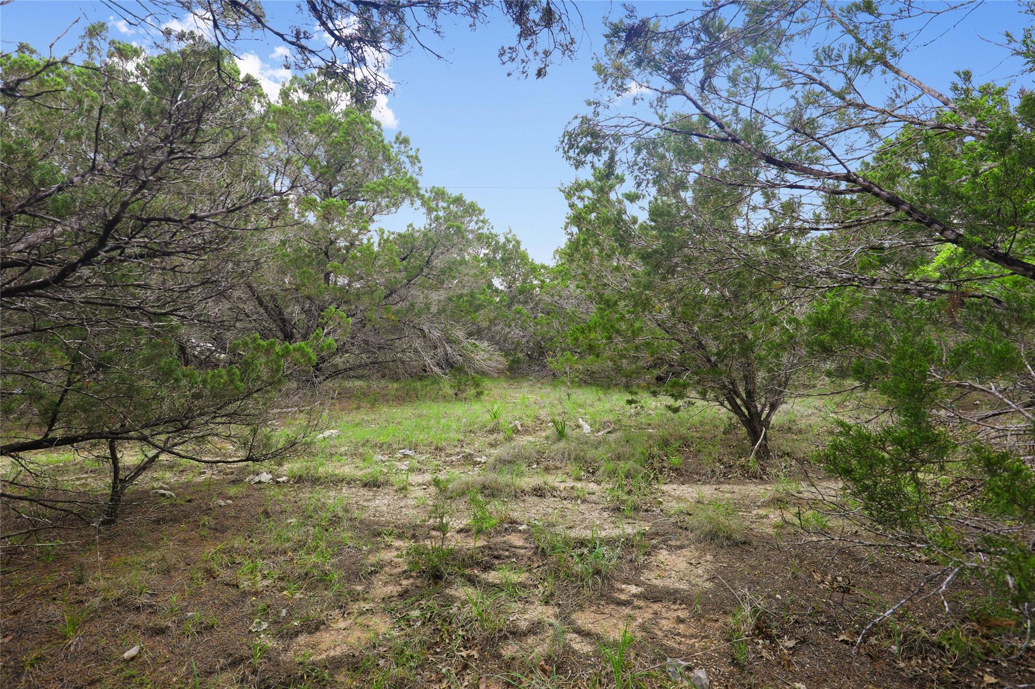 6807 Live Oak Dr Property Photo 1