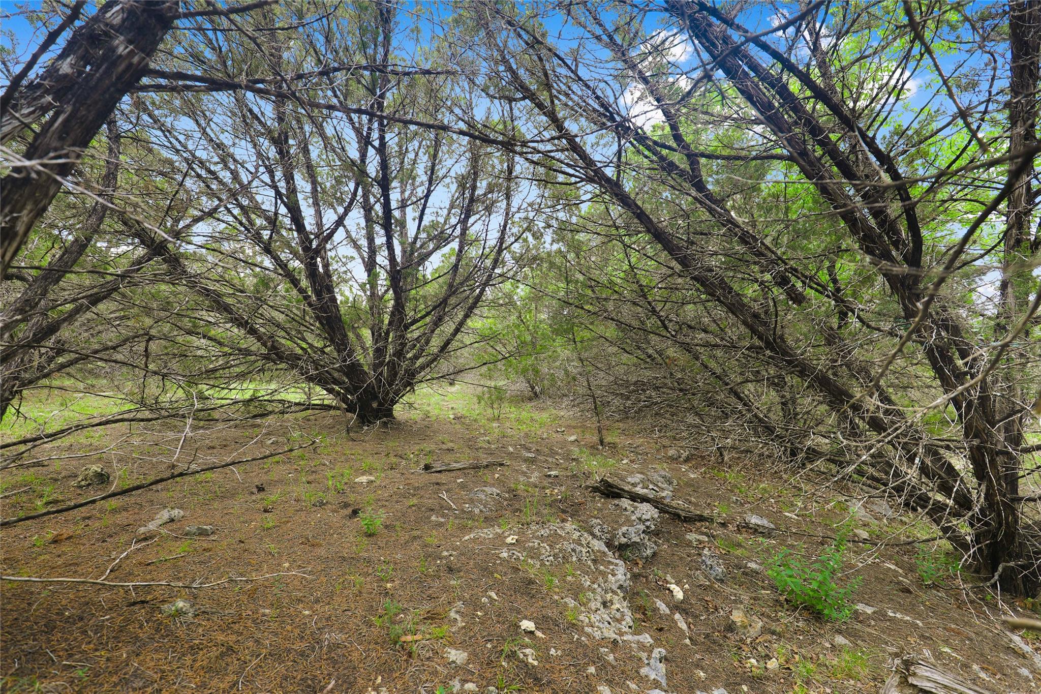6807 Live Oak Dr Property Photo 3