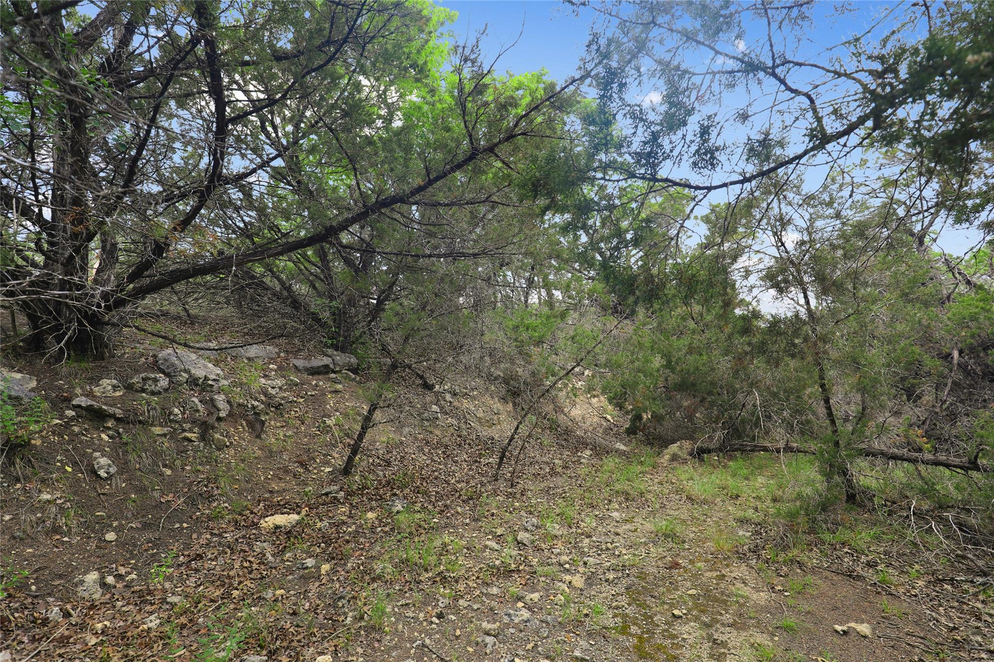 6807 Live Oak Dr Property Photo 4
