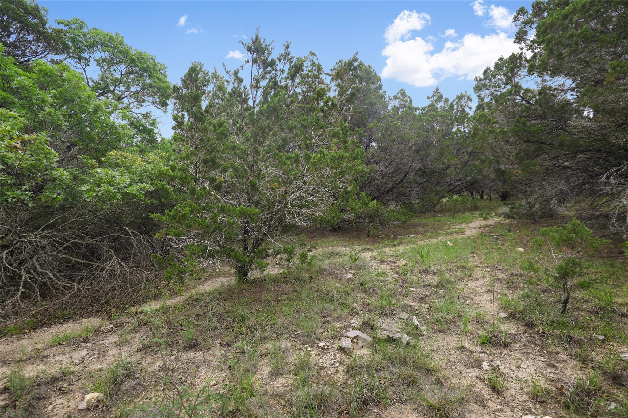 6807 Live Oak Dr Property Photo 7