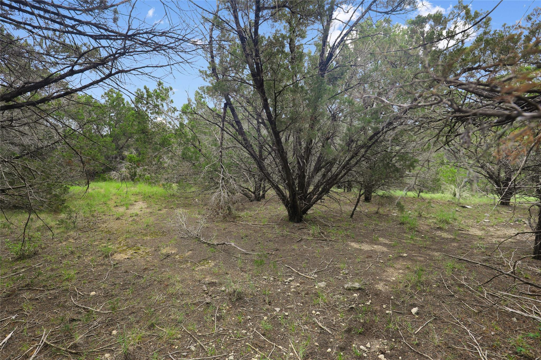 6807 Live Oak Dr Property Photo 9