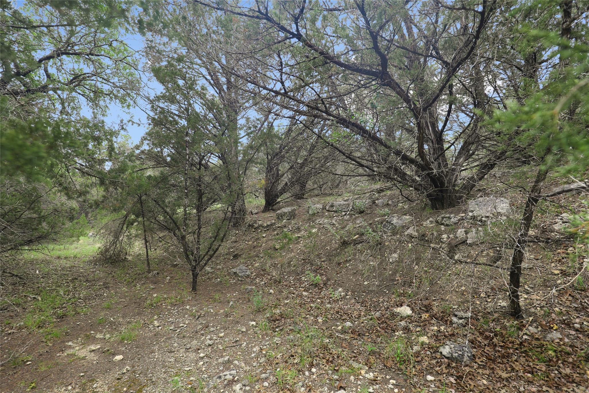 6807 Live Oak Dr Property Photo 11